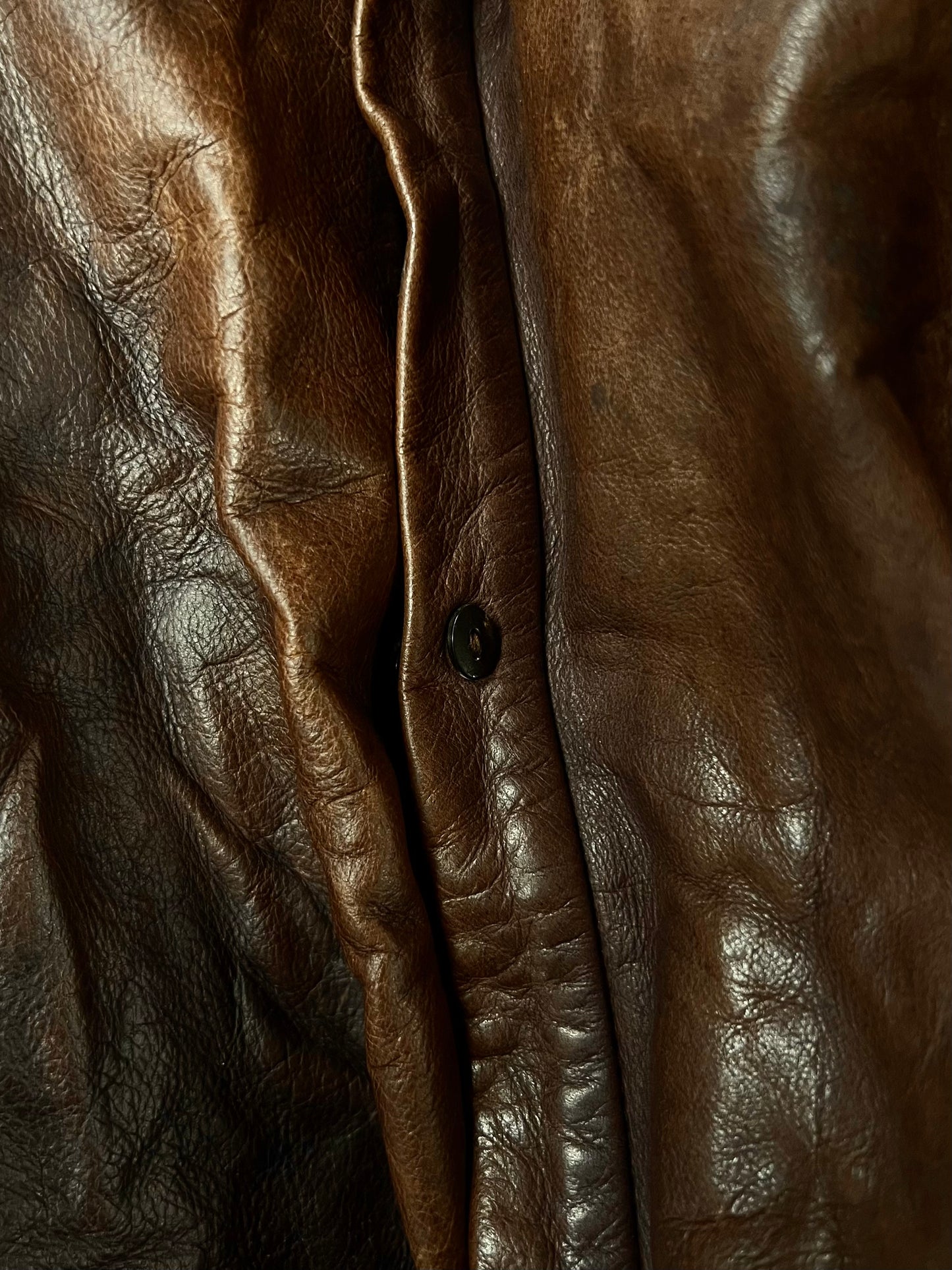 Carpe Diem Natural Brown Leather Button Down Shirt