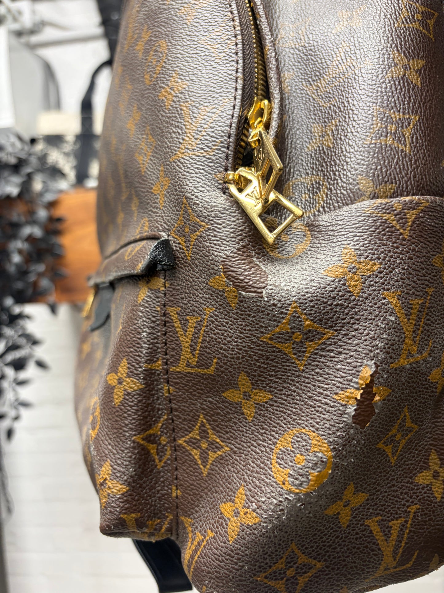 Louis Vuitton ‘Palm Springs’ MM Leather Monogram Backpack