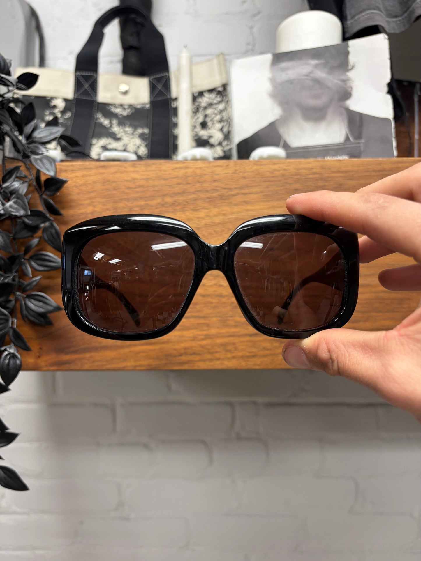 Blumarine Black/Gold Wide Frame Sunglasses