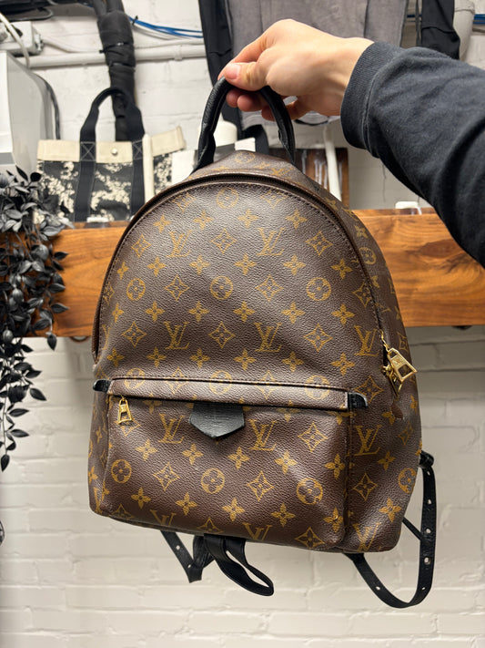 Louis Vuitton ‘Palm Springs’ MM Leather Monogram Backpack