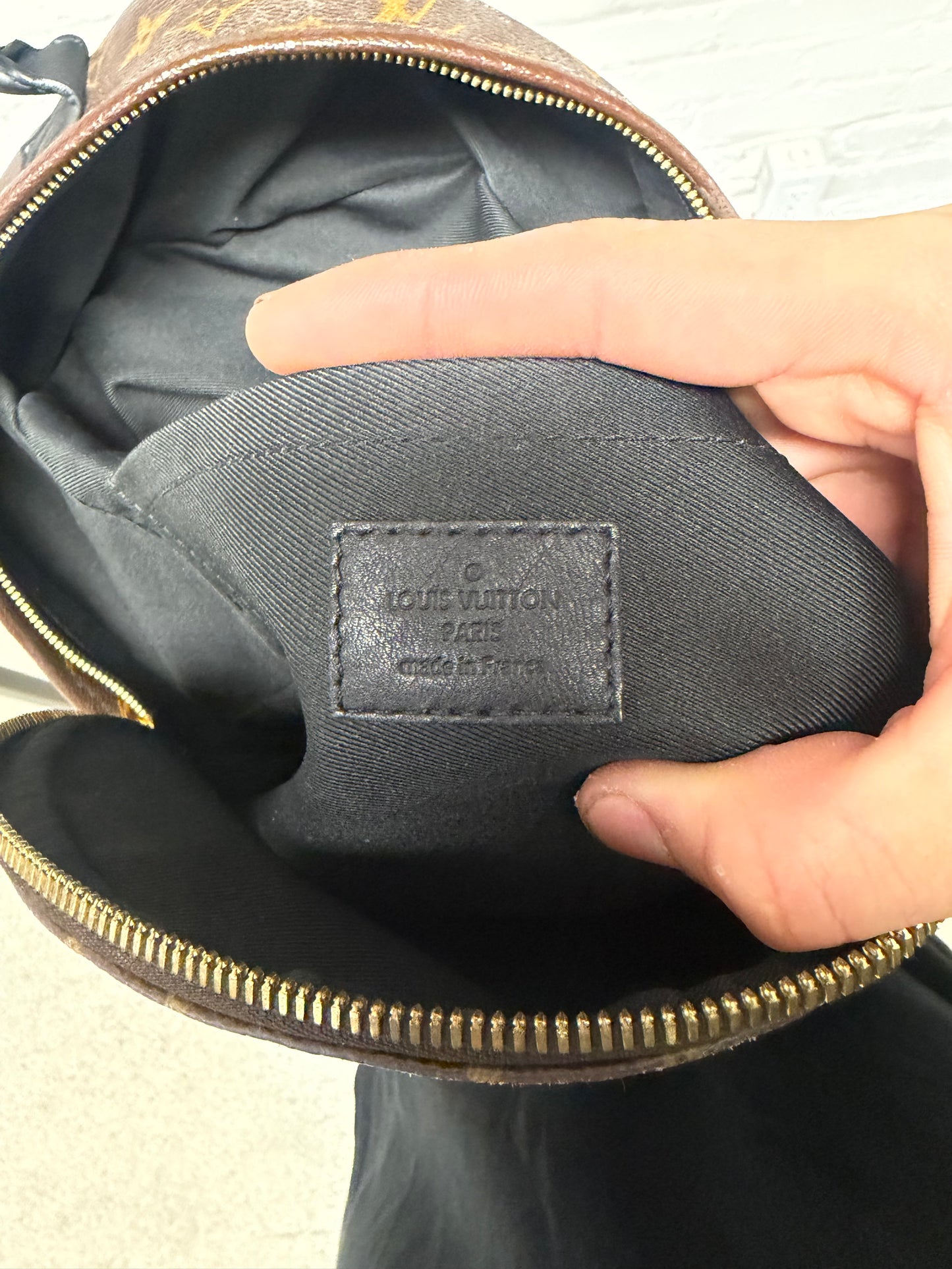 Louis Vuitton ‘Palm Springs’ MM Leather Monogram Backpack