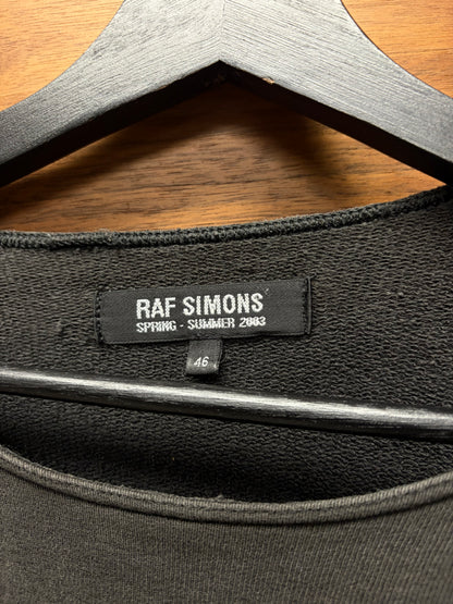 SS2003 Raf Simons ‘Consumed’ Ashley Bickerton Graphic Sweatshirt