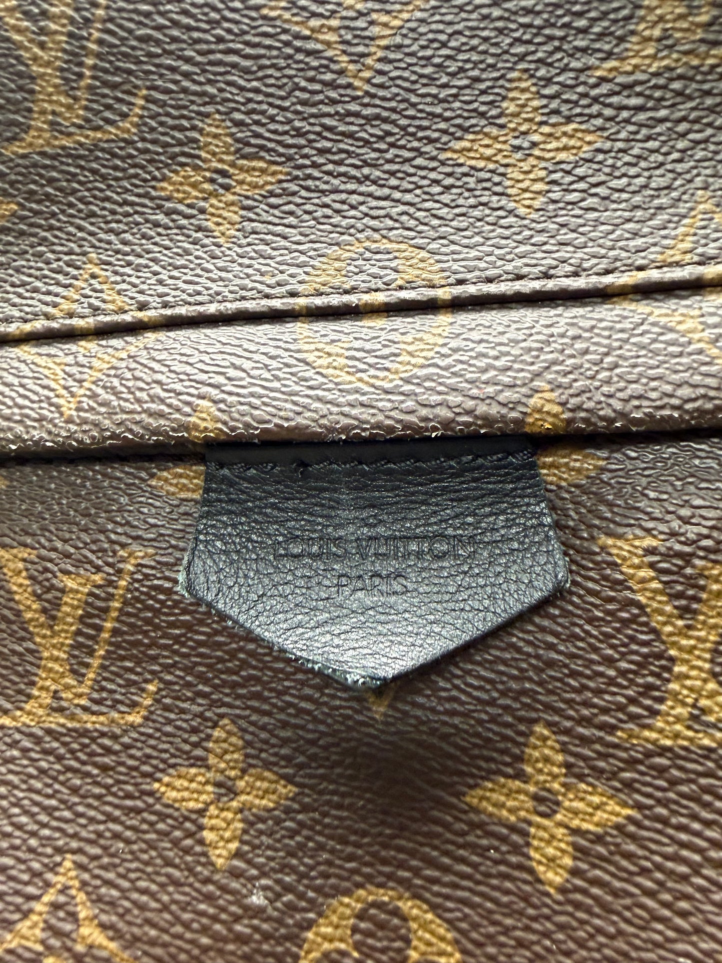 Louis Vuitton ‘Palm Springs’ MM Leather Monogram Backpack